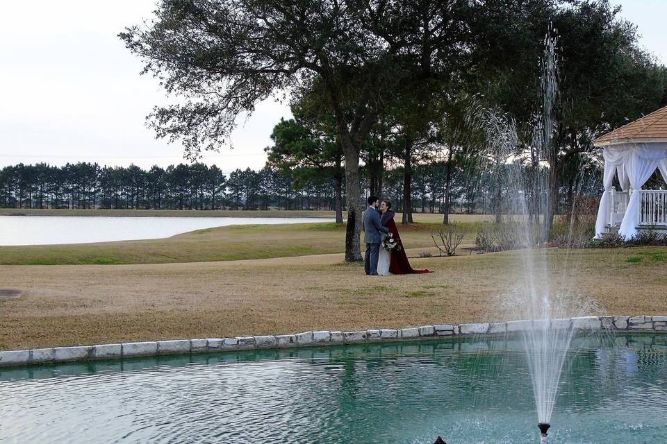 Lake view in winter