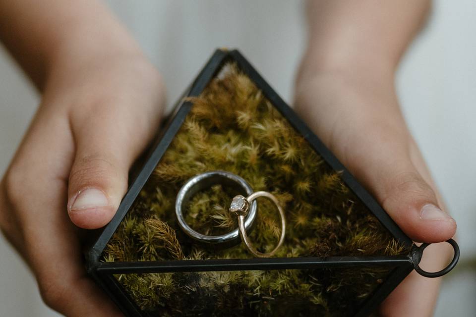 Wedding rings