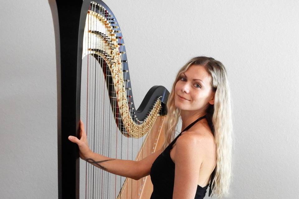 Sarah Naylor Harp