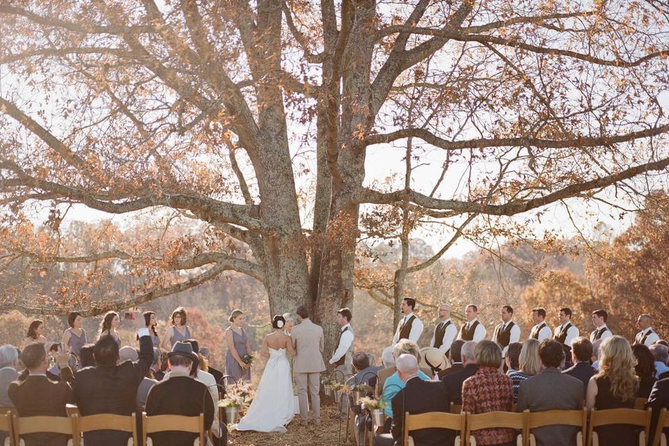 Tree ceremony