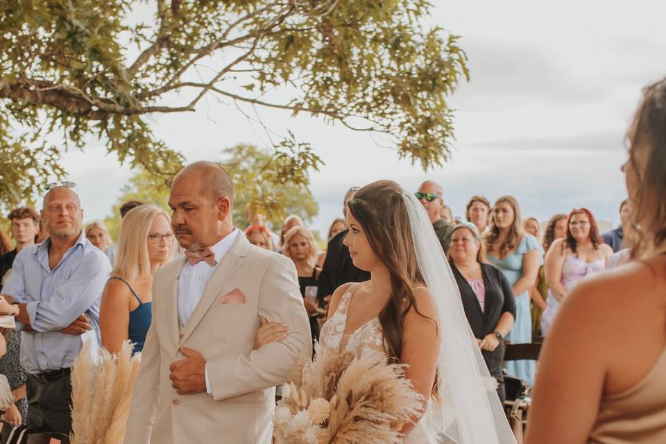 Bridal march at tree location