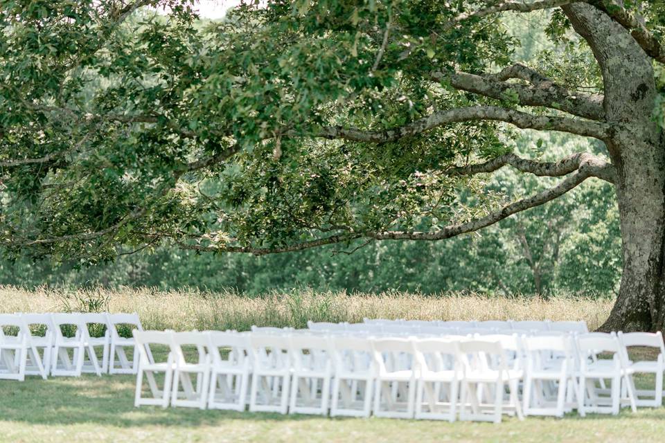 Tree ceremony