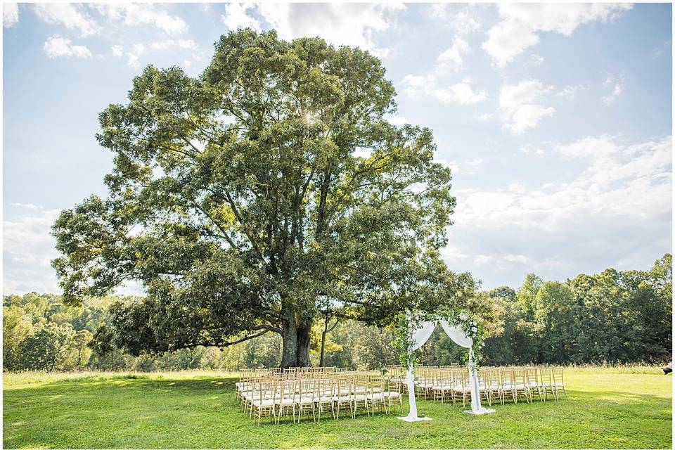 Ceremony entrance