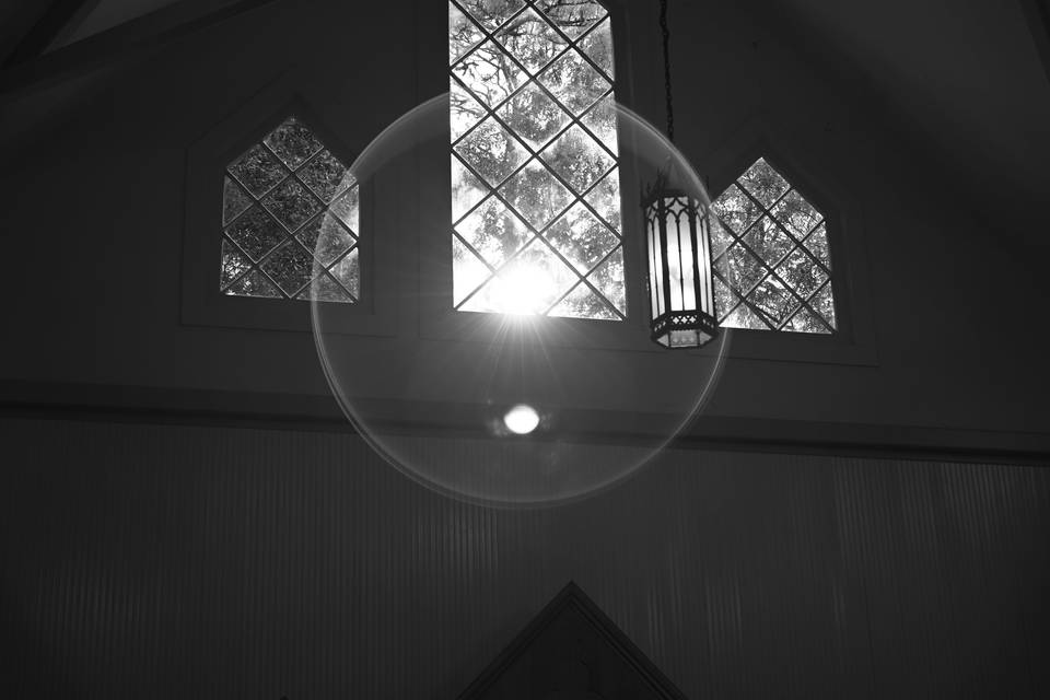 DSC_0596 (1).JPG