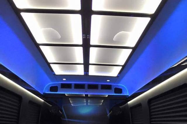 12 passenger party bus