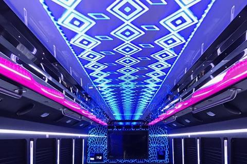 35 passenger party bus