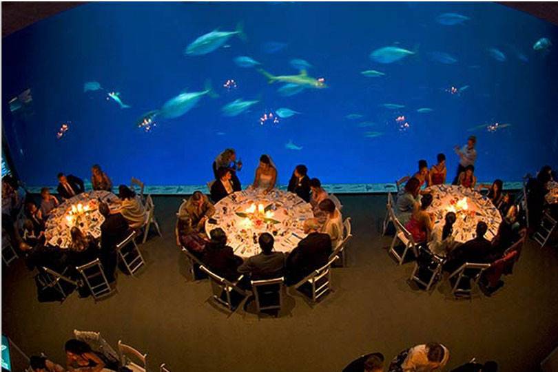 Outer Bay at Monterey Bay Aquarium.