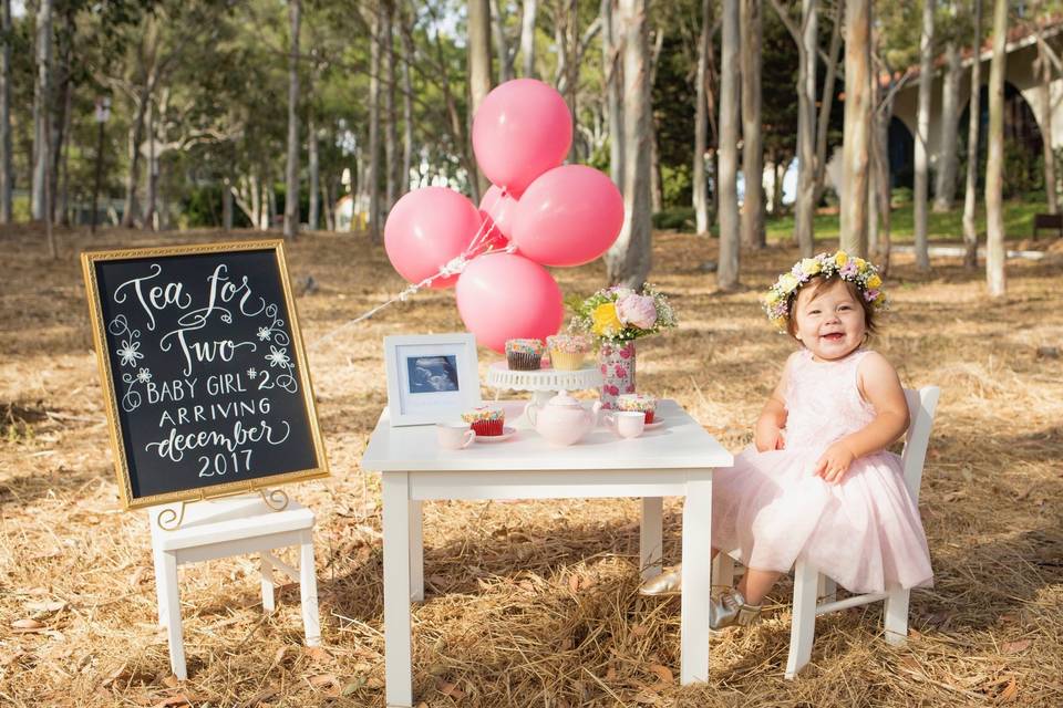 Baby announcement sign