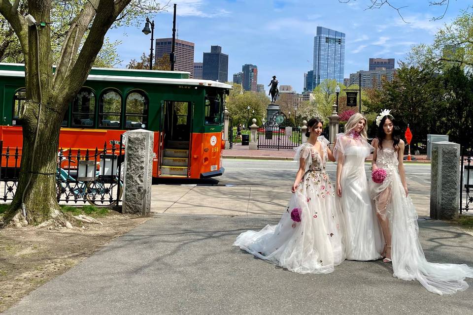 Old Town Trolley Boston Transportation Boston, MA WeddingWire