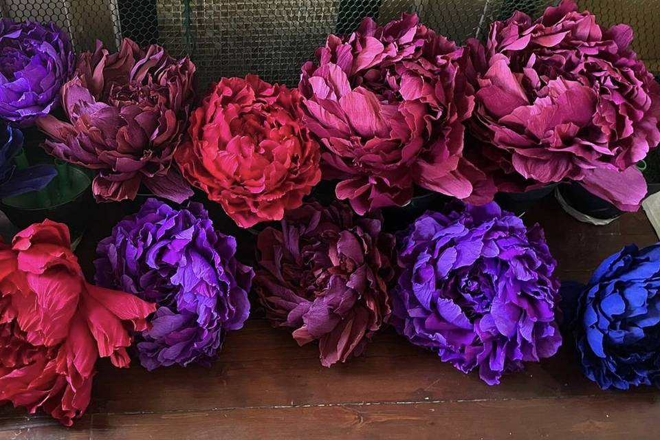 Large paper peonies