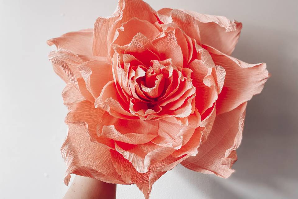 Paper peony