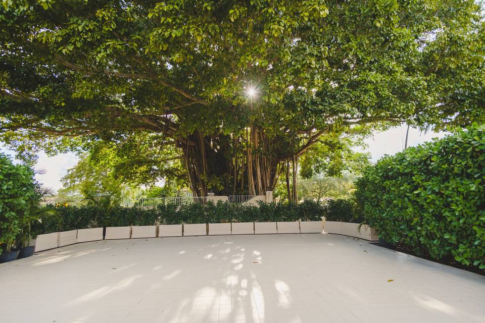GARDEN