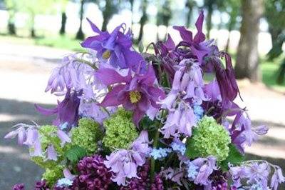 Bohemian Bouquets