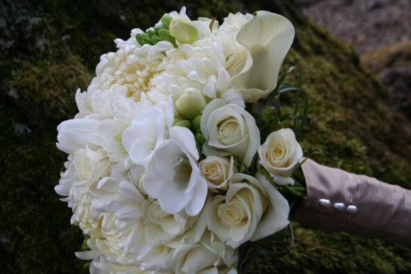 Bohemian Bouquets