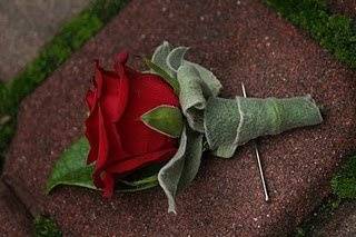 Red rose wrapped with lambs ear.