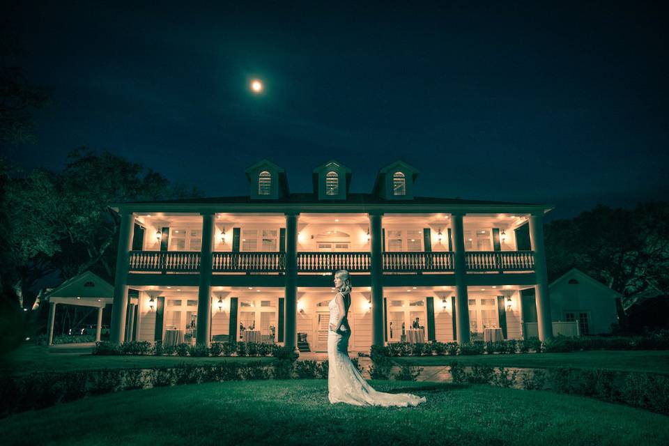 Bridal portrait