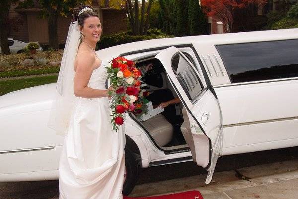 ROCHESTER LIMOUSINE LLC