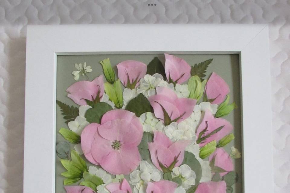 11X14 Tray