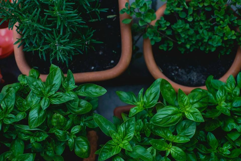 Greens by Gabrielsen