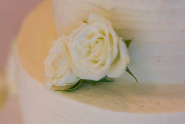 Sonja Hults Photography