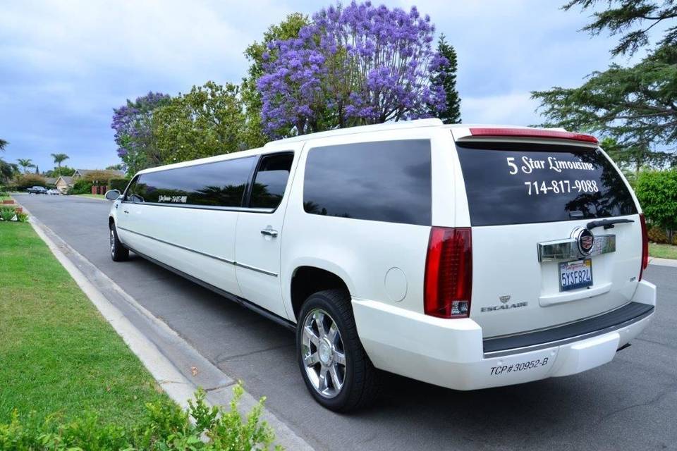 5 Star Limousine & Transportation Service