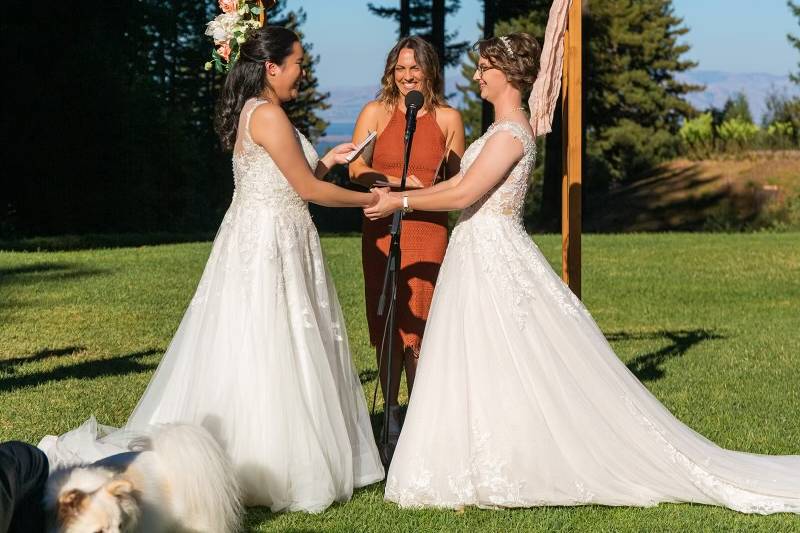 Choose Love Weddings