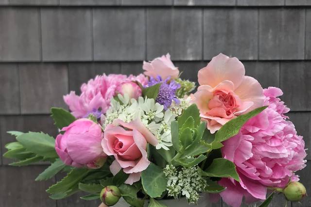 Early summer blooms