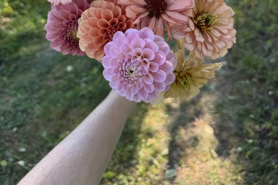 Dahlias and zinnias