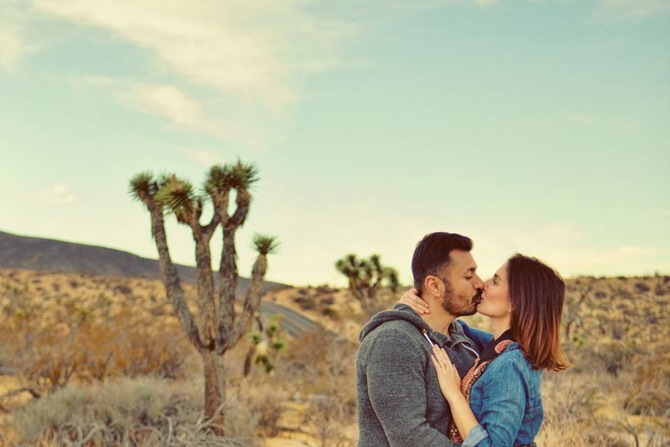 Joshua Tree, CA