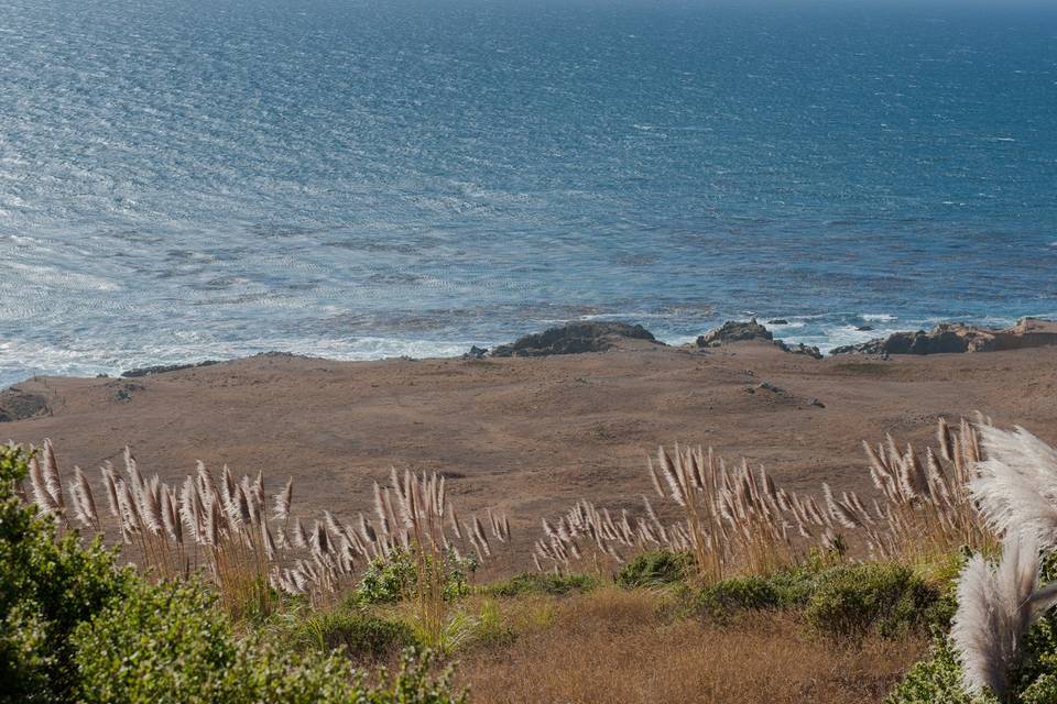 View of beachfront wedding location (160 acres) avail near dancehall