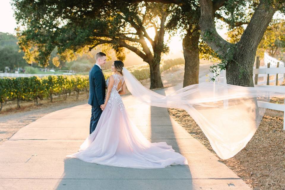 Cathedral veil