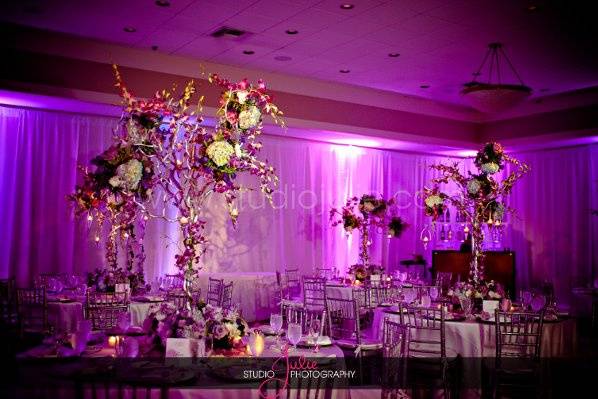 Violet reception