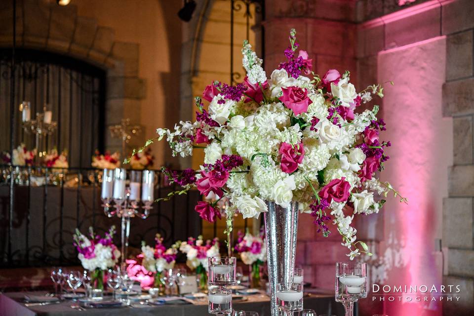 Tall pink and white flowers