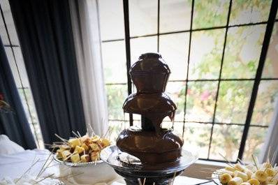 An elegant, yet fun, Chocolate Fountain buffet with a variety of sides such as marshmallows, bananas, strawberries, pretzels & pound cake!