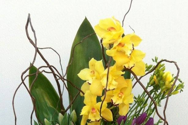 My Beverly Hills Florist