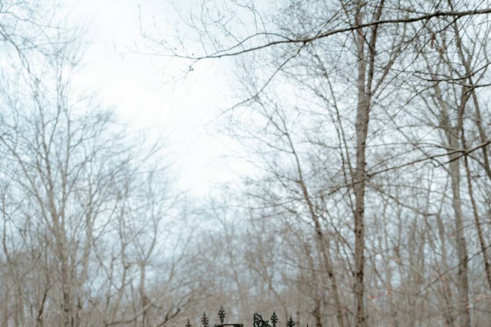 Wedding Photography
