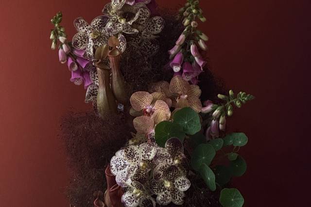 Katz Floral Studio