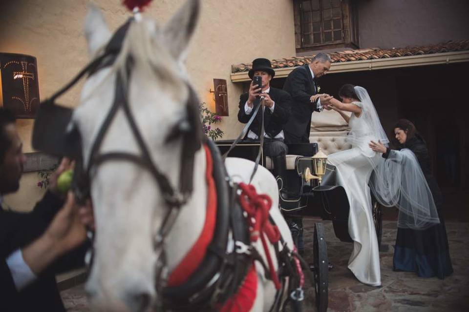 Indira Fodor Wedding Planner