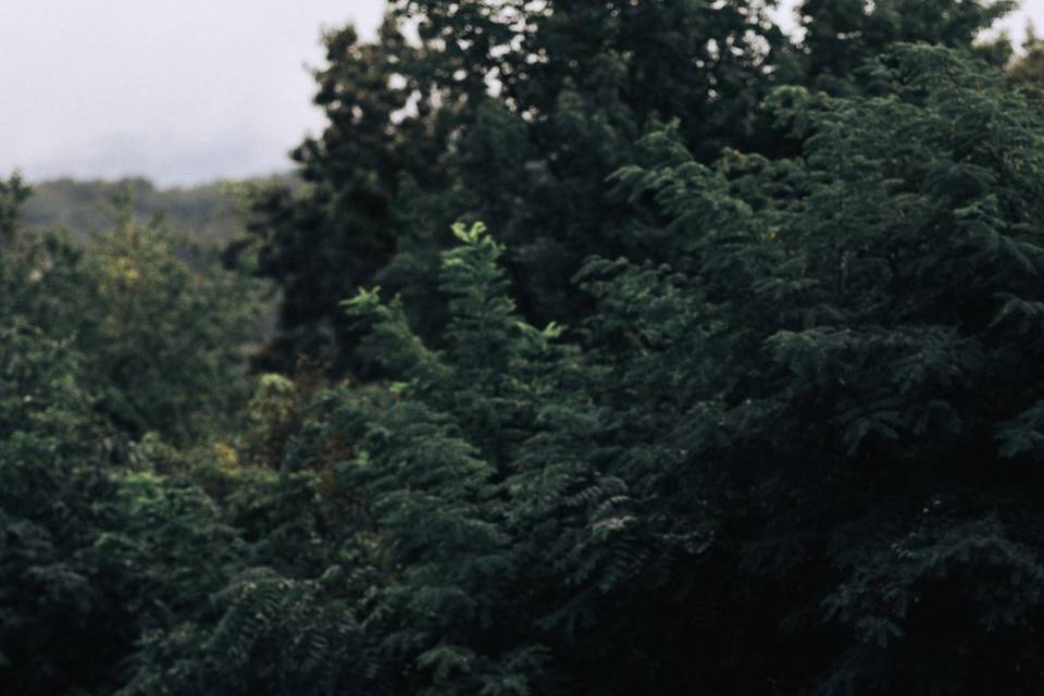 Woodcliff Hotel & Spa