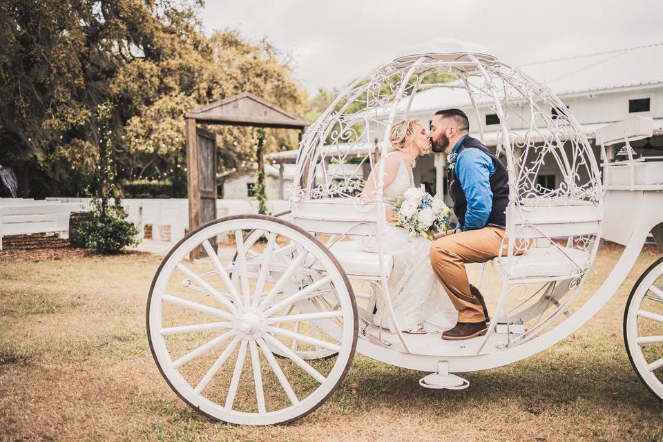 Fairytale carriage wedding
