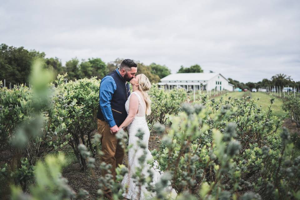 Blueberry Farms Wedding