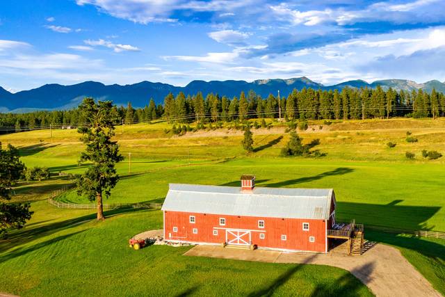 THE FARM Montana