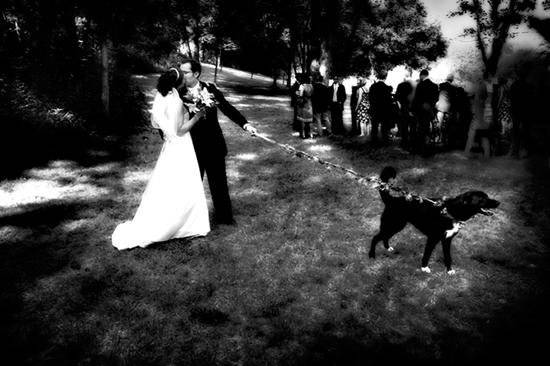 Candid: Just Married: Flower Dog: Black White
