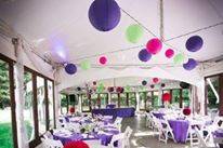 Dining area set-up