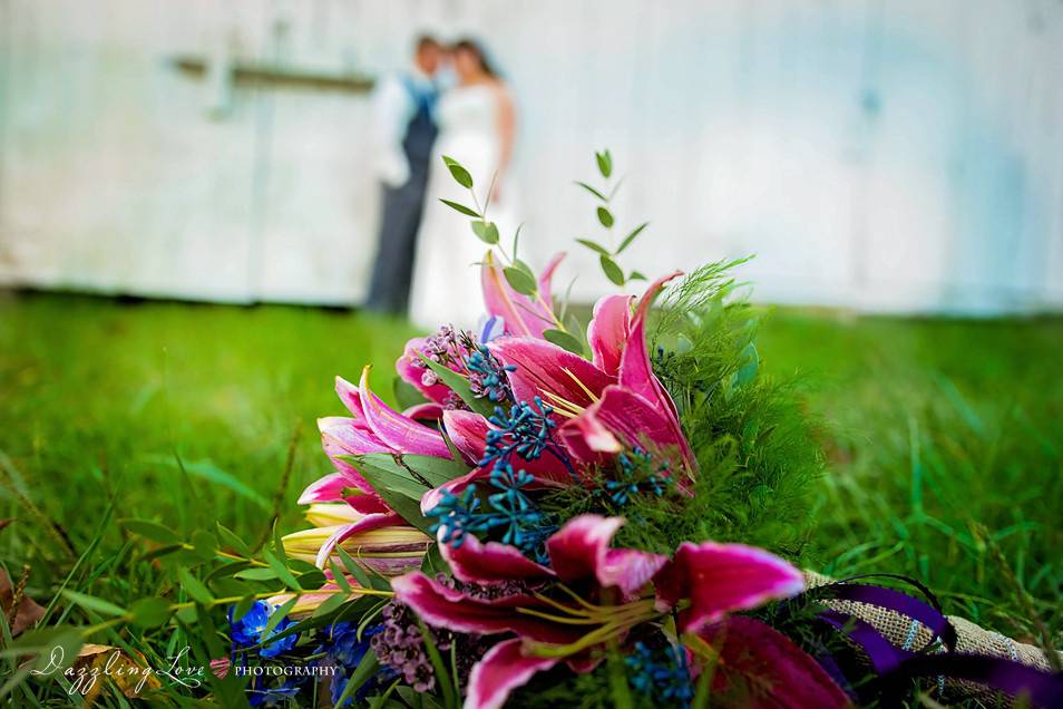 Dazzling Love Photography