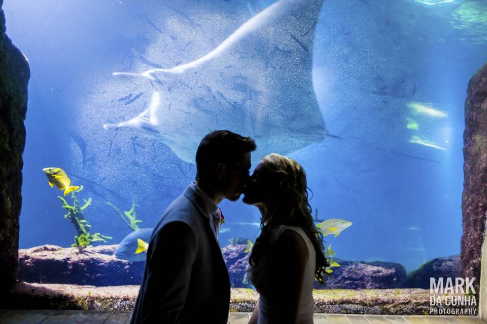 Aquarium Wedding