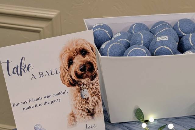 Take home treat from dog