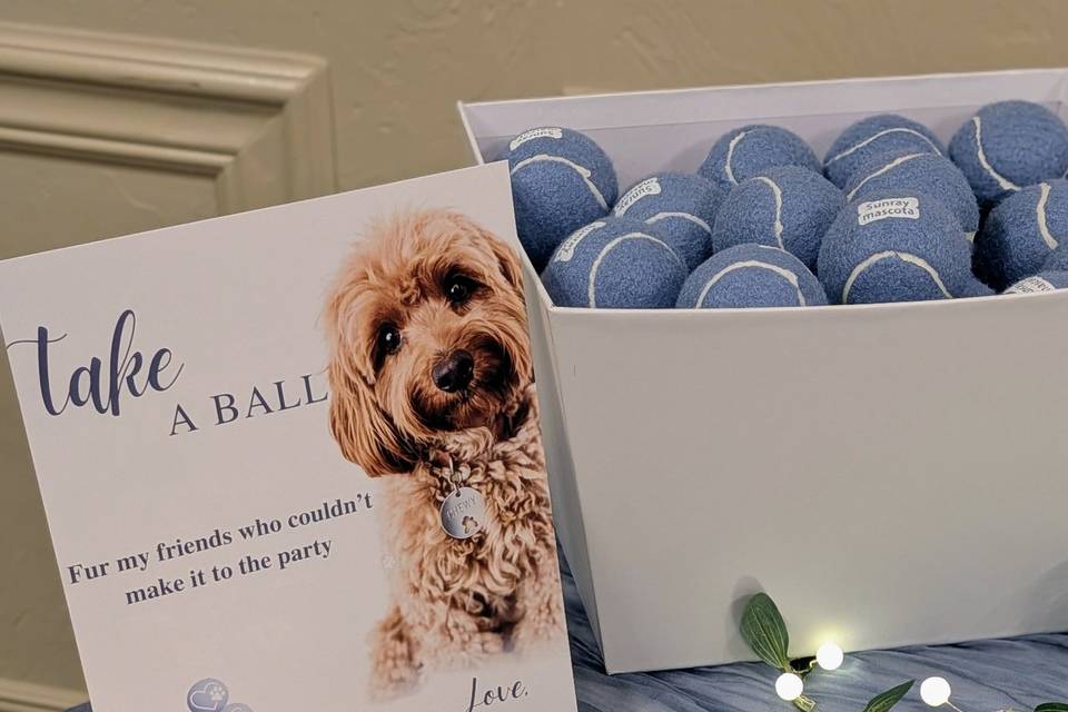 Name cards