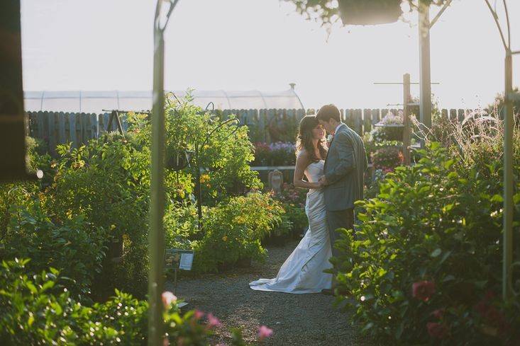 Newlyweds share a kiss