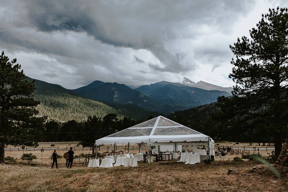 Backyard Wedding